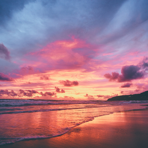 我是魅魔的忠实仆人第二集
